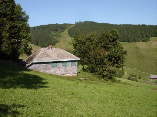Here is an image of Heidegger’s Hut, a small cottage with lightly-colored outer walls and roof with windows painted bright green and blue. It sits nestled against a hillside, between trees with an open field below and a forest in the distance.